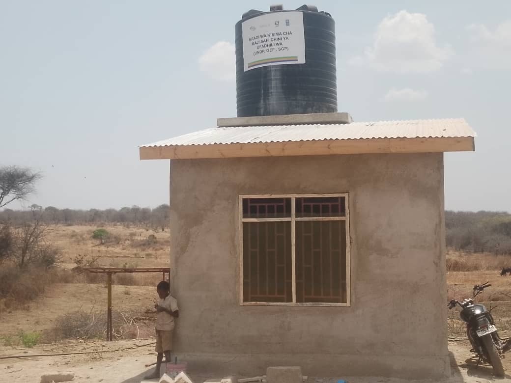 VESO Launches Tree Planting Campaign in Singida